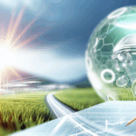 Belajar di Lingkungan Alam: Metode Mengedukasi Anak Tentang Signifikansi Lingkungan Lewat Proses Belajar Outdoor